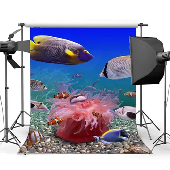 Фон подводного мира Аквариумные фоны Рыбьи раковины Причудливый коралловый фон для фотосъемки под морем