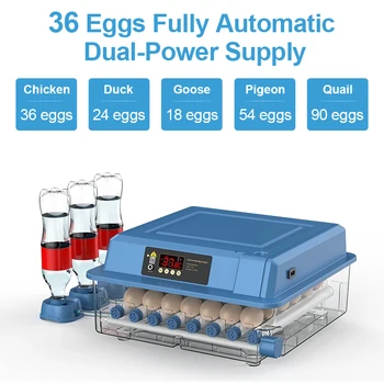 36 24 автоматический инкубатор для инкубации яиц, Брудер, Сельскохозяйственное оборудование, Инкубатор для инкубации цыплят, Инкубаторы для инкубации цыплят полностью