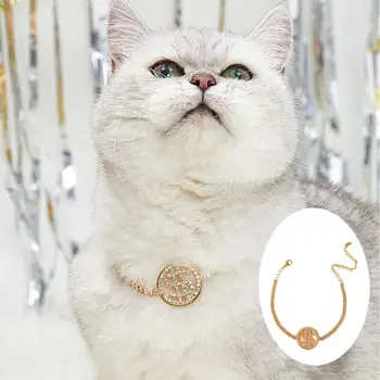 Кошачий ошейник Яркого цвета, потрясающий визуальный эффект, ожерелье для кошек в стиле хип-хоп, Собачий ошейник, Реквизит для фотосъемки, товары для домашних животных