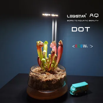 Микро-ландшафтный светильник из мха LEDSTAR AQ-DOT для настольных растений, Суккулентный заполняющий светильник
