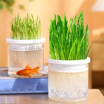 Пластиковый Беспочвенный лоток для выращивания кошачьей травы, блюдо для закваски, Теплица для гидропоники, Прозрачная коробка для садовых принадлежностей